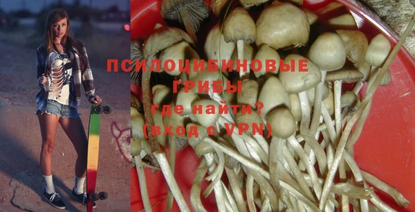 ALPHA PVP Белокуриха