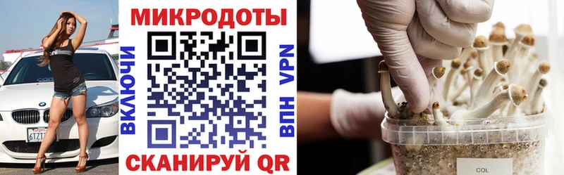 OMG зеркало  Называевск  Псилоцибиновые грибы прущие грибы 